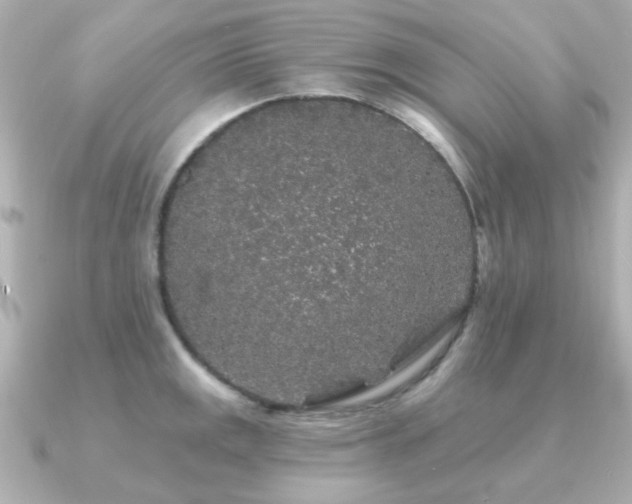 X0000091191141200708091245