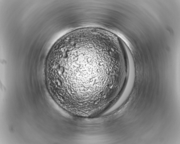 X0000091191142200708091245