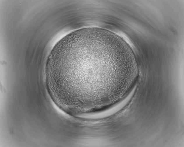 X0000091191143200708091245