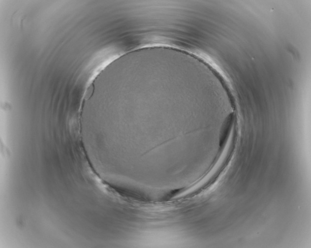 X0000091191145200708091245
