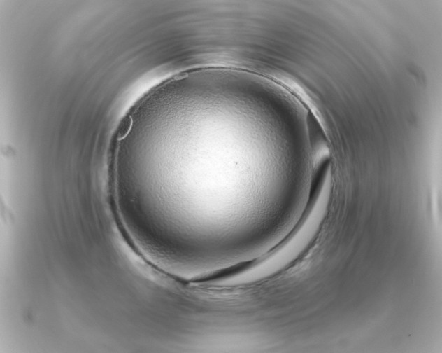 X0000091191147200708091245