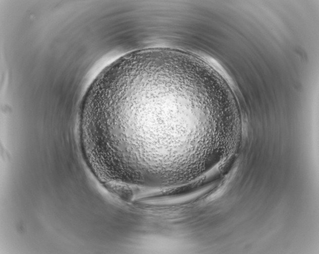 X0000091191149200708091245
