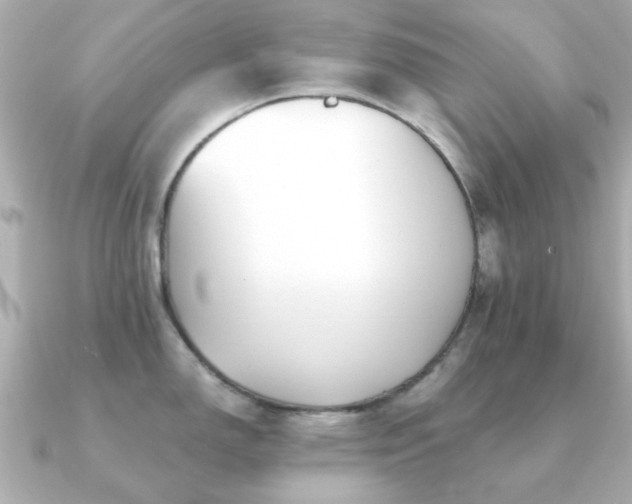 X0000091191150200708091245