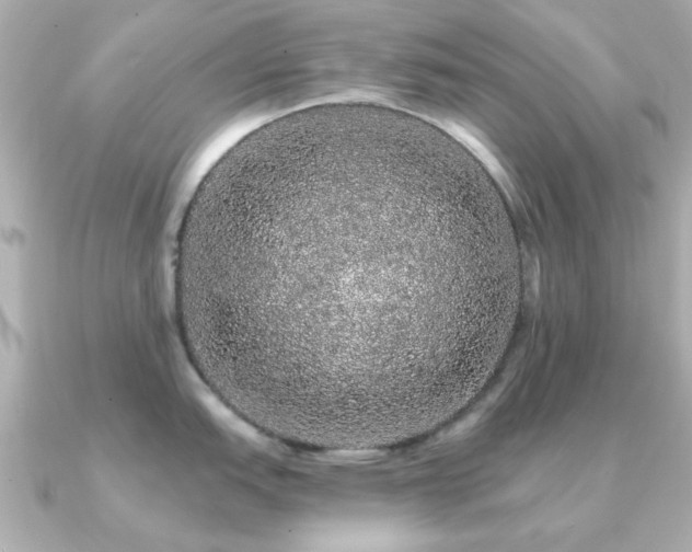 X0000091191151200708091245