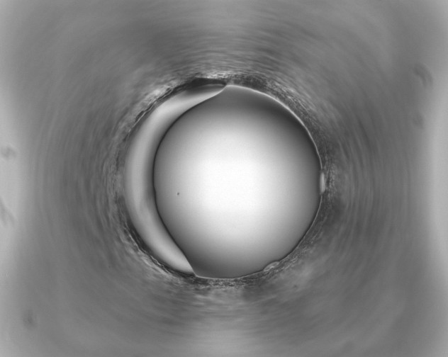 X0000091191153200708091244
