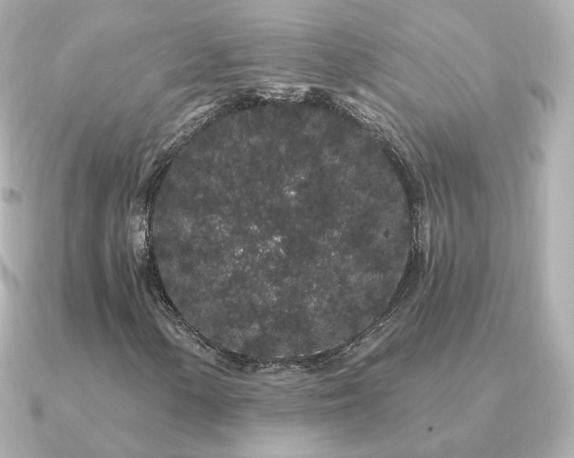 X0000091191154200708091244