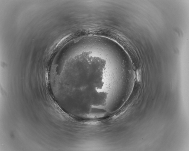 X0000091191155200708091244