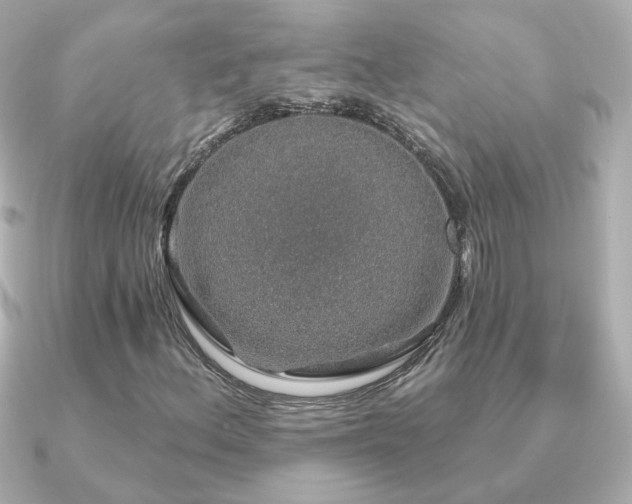 X0000091191156200708091244