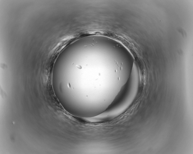 X0000091191157200708091244