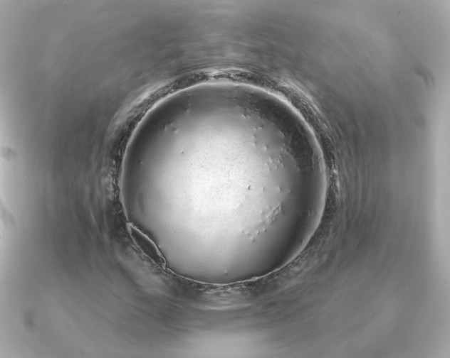 X0000091191159200708091244