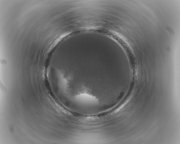 X0000091191161200708091244