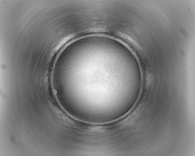 X0000091191162200708091244