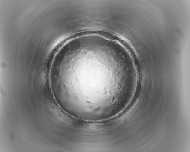 X0000091191163200708091244