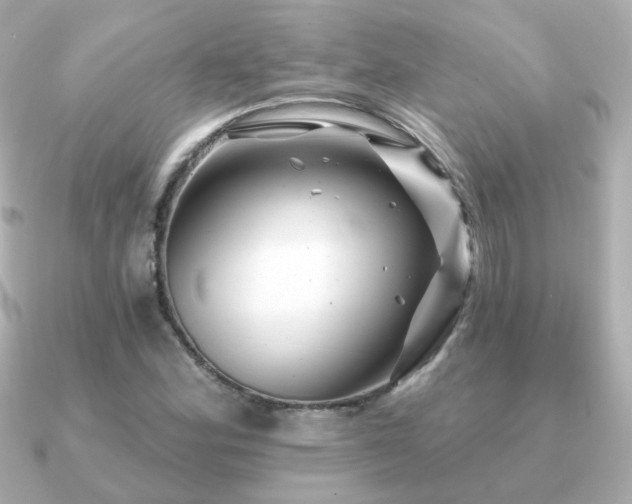 X0000091191164200708091244