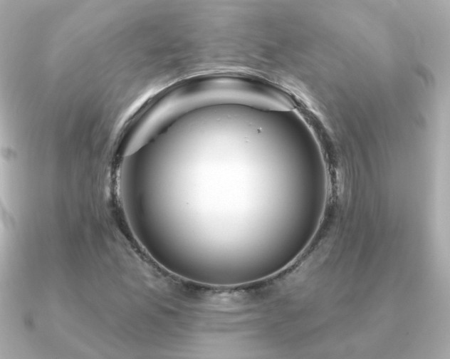 X0000091191165200708091244