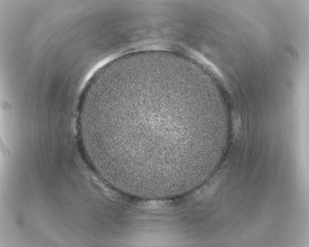 X0000091191166200708091244