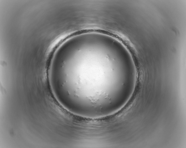 X0000091191167200708091244