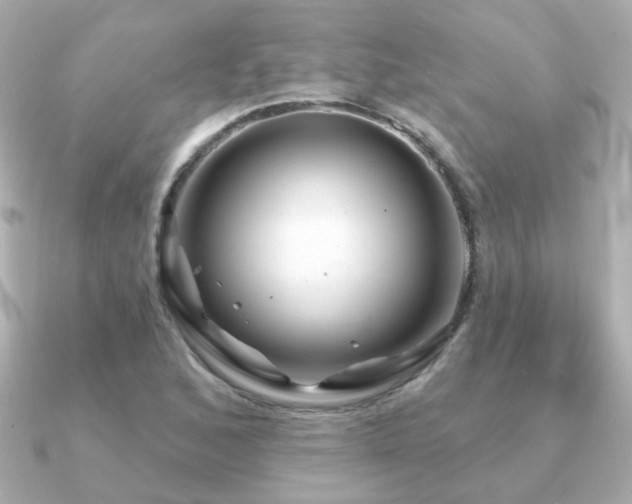 X0000091191168200708091244