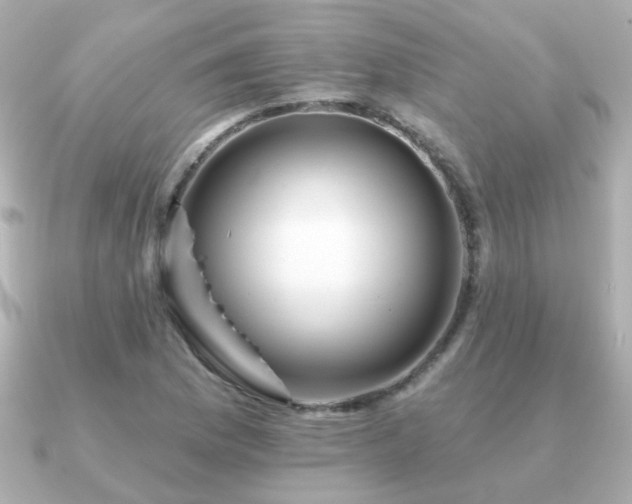 X0000091191169200708091244