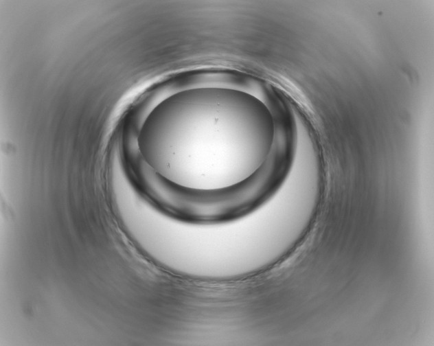 X0000091191172200708091244
