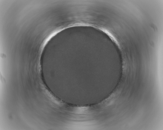 X0000091191173200708091244