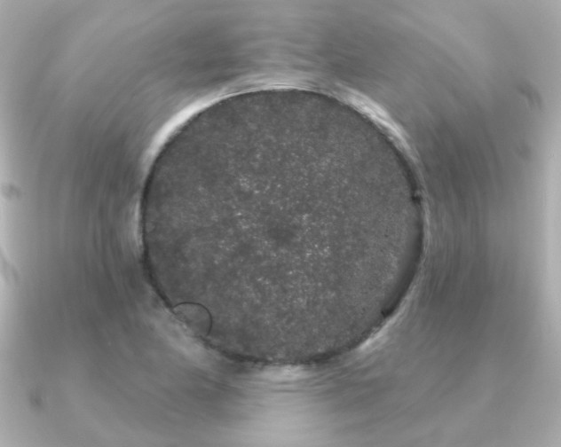X0000091191174200708091244