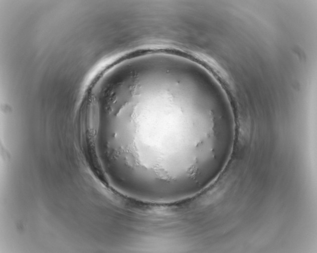 X0000091191175200708091244
