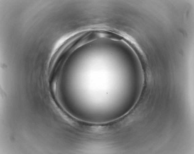 X0000091191176200708091244