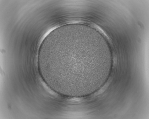 X0000091191178200708091244