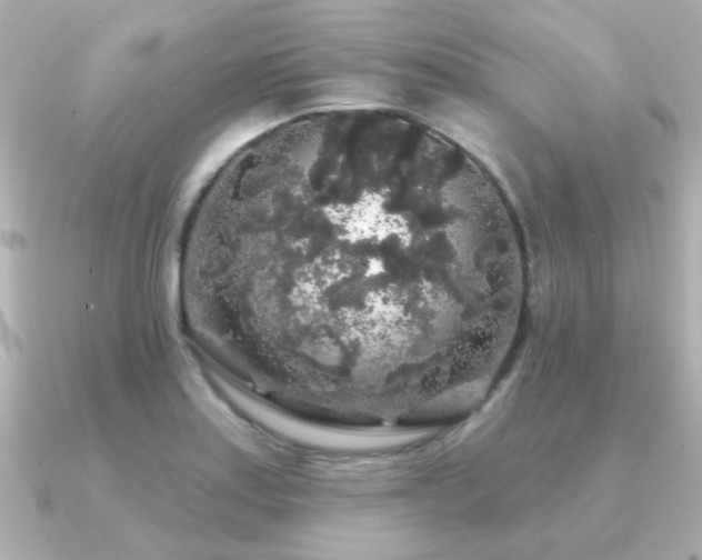 X0000091191179200708091244