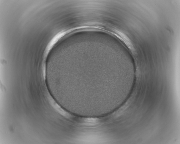 X0000091191180200708091244