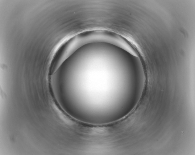 X0000091191181200708091244