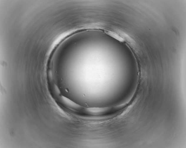 X0000091191184200708091244