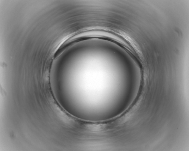 X0000091191185200708091244