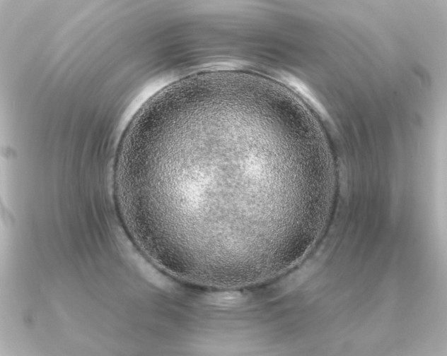 X0000091191186200708091244