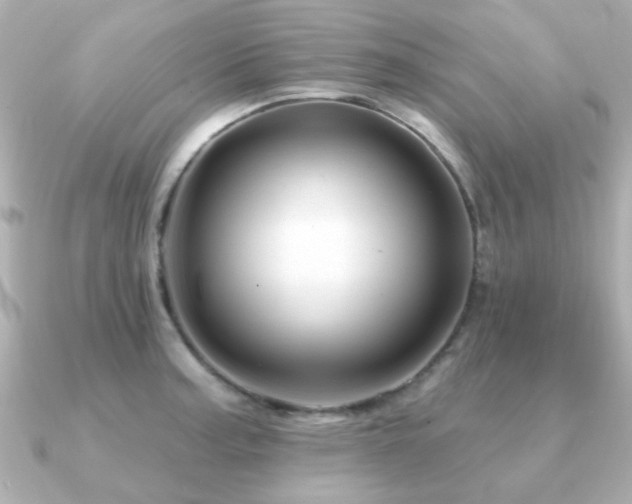 X0000091191187200708091244