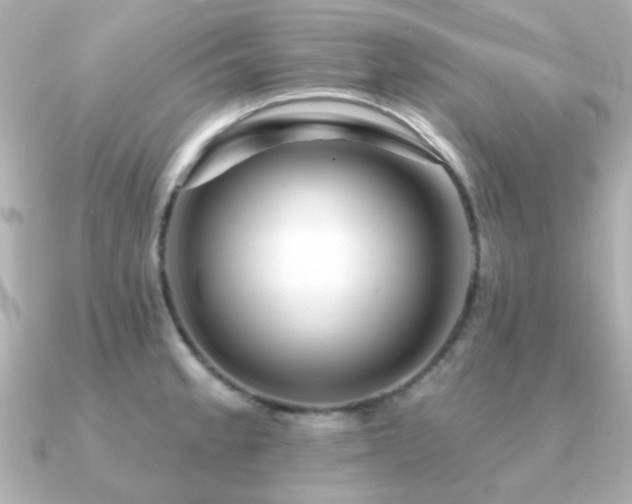 X0000091191189200708091244