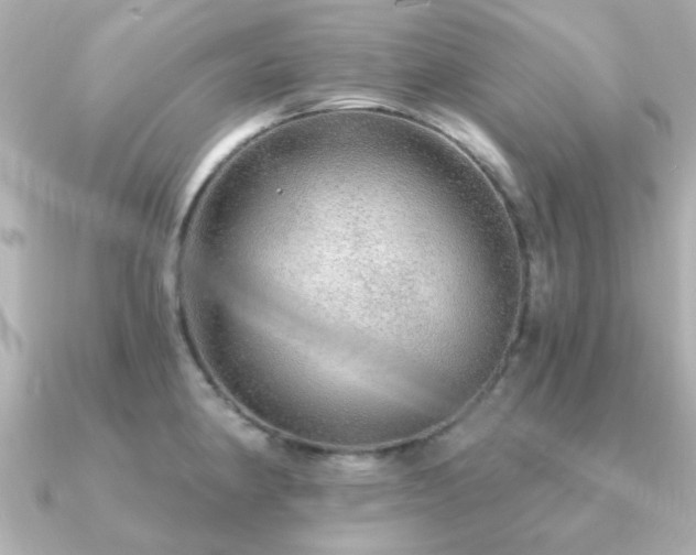 X0000091191190200708091244