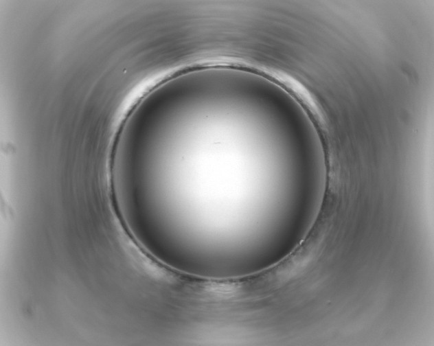 X0000091191191200708091244