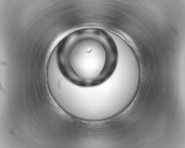 X0000091191192200708091244