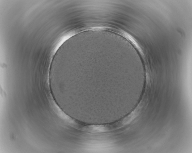 X0000091191194200708091244