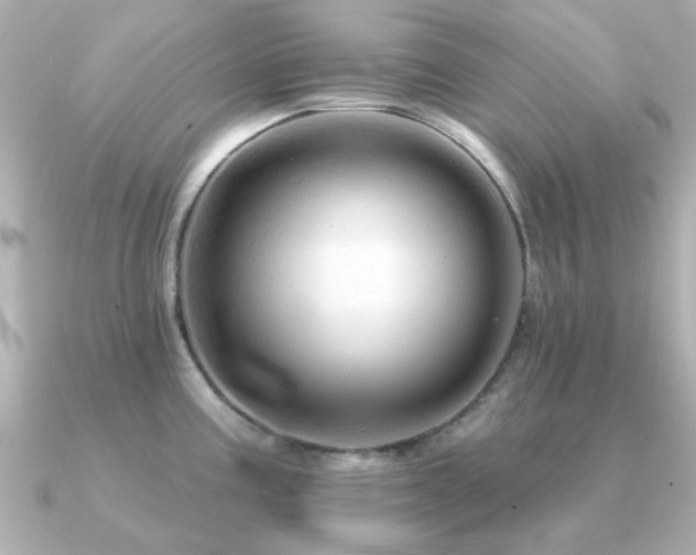 X0000091191195200708091244