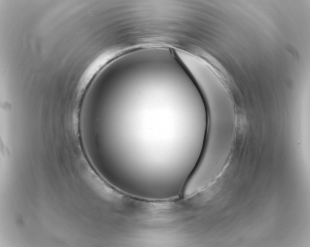 X0000091191196200708091244