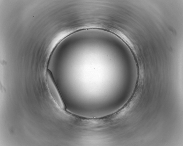 X0000091191197200708091244
