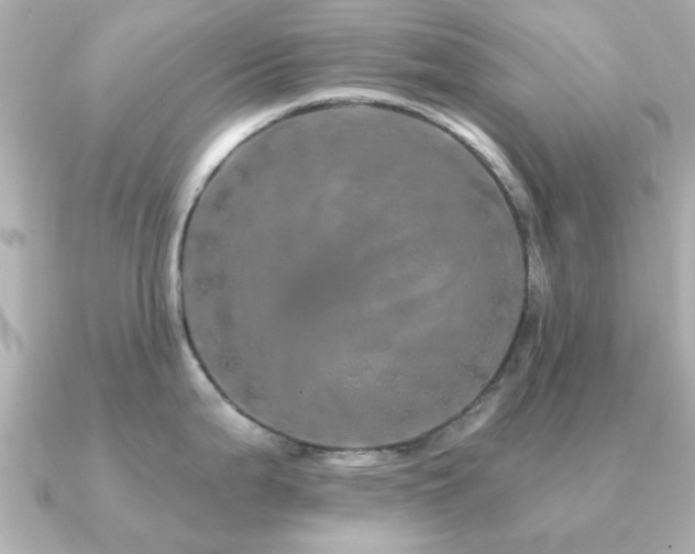 X0000091191199200708091244