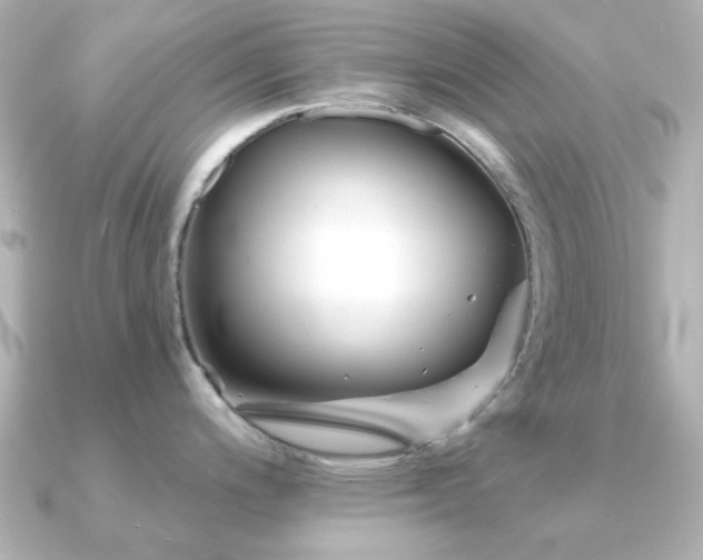 X0000091191200200708091244
