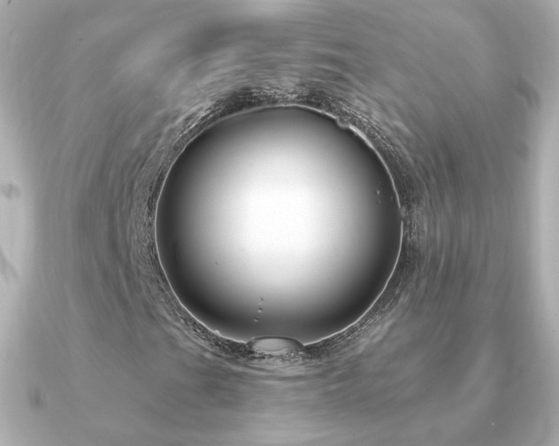 X0000091191201200708091243