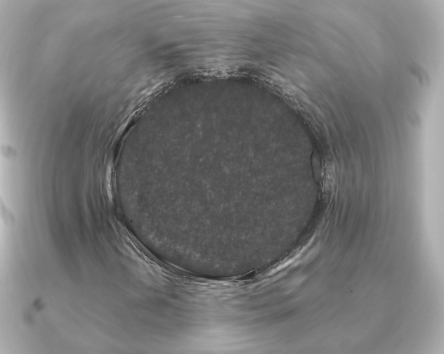 X0000091191202200708091243