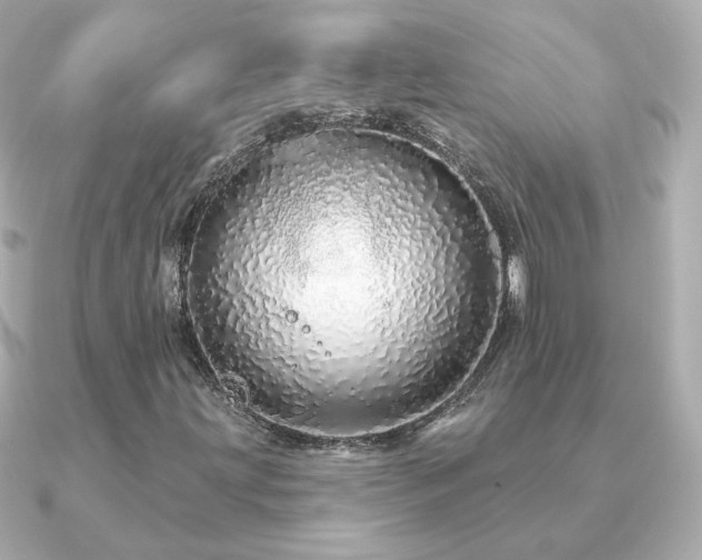 X0000091191203200708091243