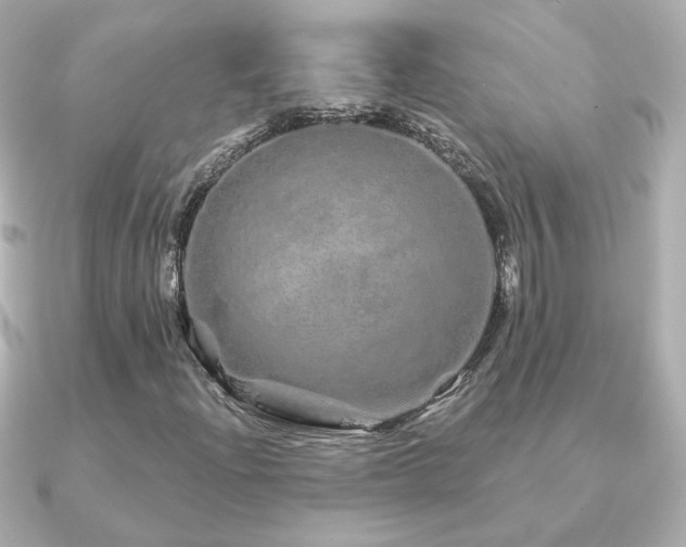 X0000091191204200708091243